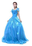 Adult Cinderella Disney Princess Movie Costume