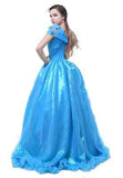 Adult Cinderella Disney Princess Movie Costume